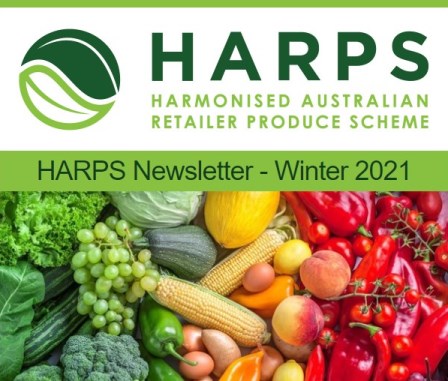 Winter-Newsletter-v1